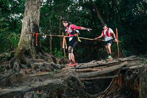 BIB: 
                            <button type="button" onclick="openModal(27319980)" class="btn btn-primary btn-sm float-right btn-popup" data-toggle="modal" data-target=".modal-high-quality">
                        <i class="fas fa-shopping-cart"></i> Add to Cart
                    </button>
                                            <button type="button" onclick="isThisMe(27319980, true)" class="btn btn-success btn-sm float-right btn-popup btn-isme hidden" data-toggle="tooltip" data-placement="bottom" title="นี่คือรูปของคุณใช่ไหม คลิกที่นี่เพื่อเอาเข้าอัลบั้ม">
                        <i class="fas fa-plus"></i> Add to album
                    </button>
                    <button type="button" onclick="isThisMe(27319980, false)" class="btn btn-warning btn-sm float-right btn-popup btn-isnotme hidden">
                        <i class="fas fa-ban"></i> Remove from album
                    </button>